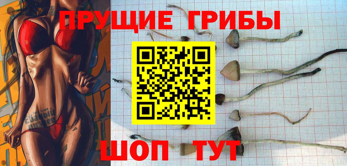 Малгобек  закладки  Вход с VPN  Псилоцибиновые грибы мицелий 