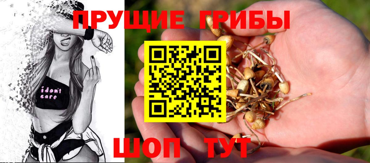 Галлюциногенные грибы прущие грибы Малгобек