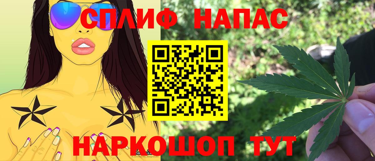 Каннабис MAZAR Малгобек